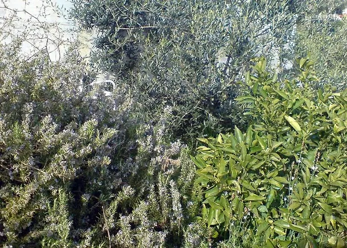 Appartamento By The Sea Hvar - 591 *