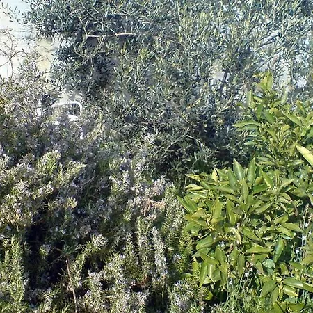 شقة By The Sea Hvar - 591 *